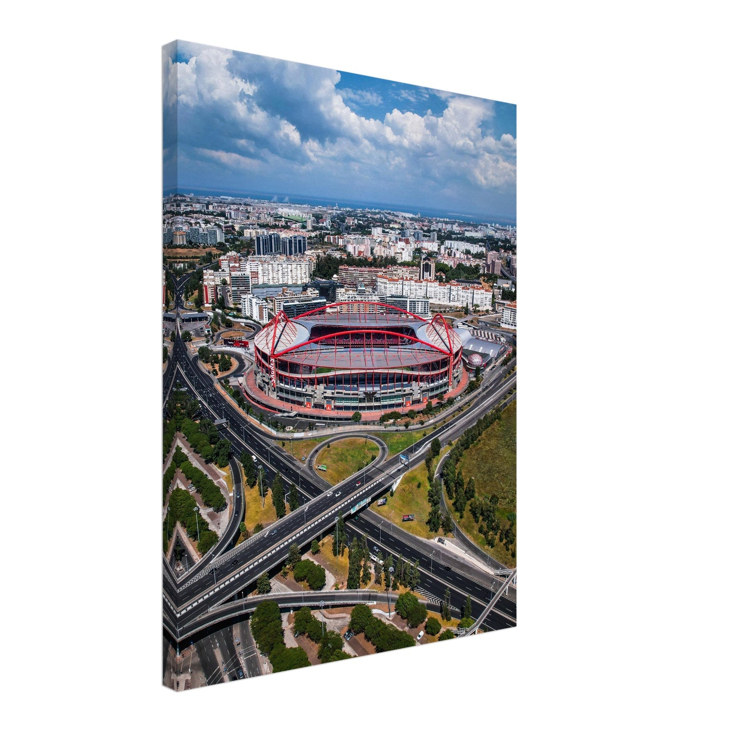 Estádio da Luz, S.L. Benfica Stadium Canvas
