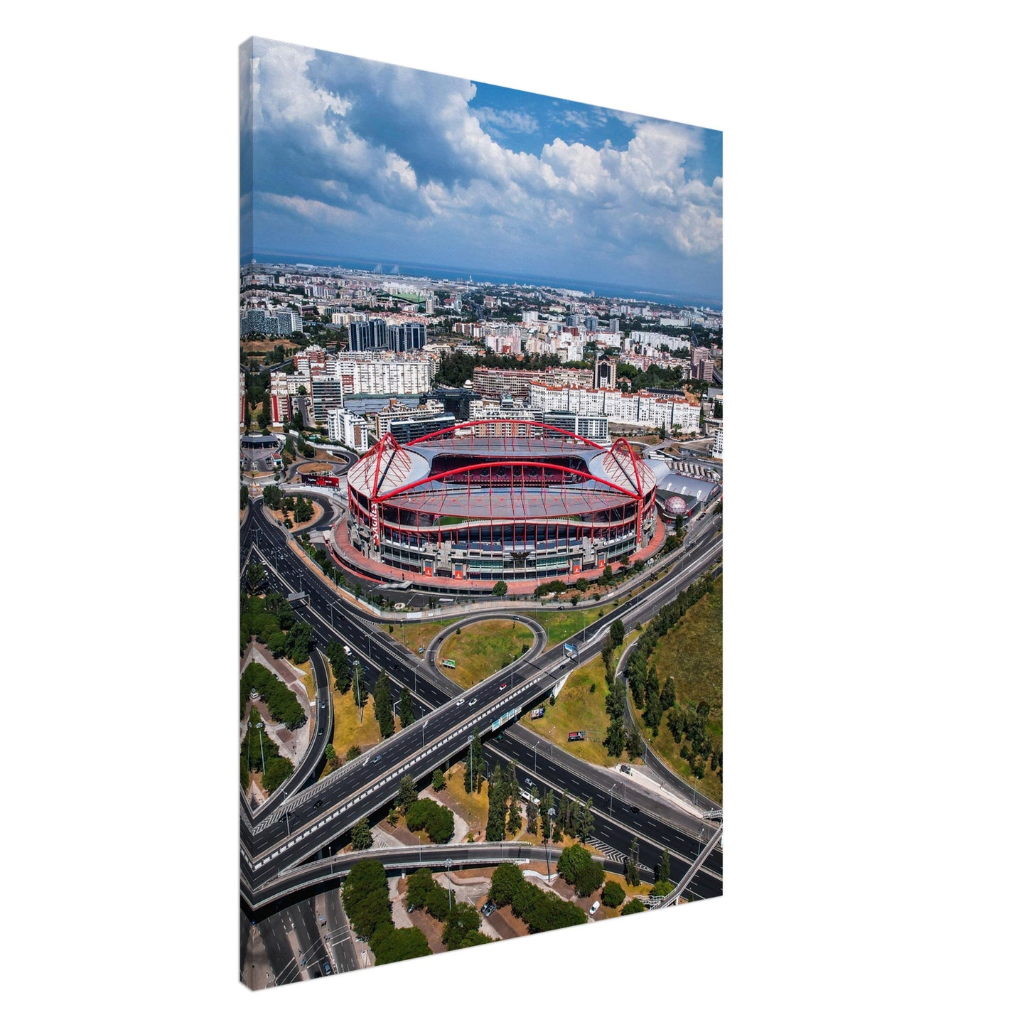 Estádio da Luz, S.L. Benfica Stadium Canvas