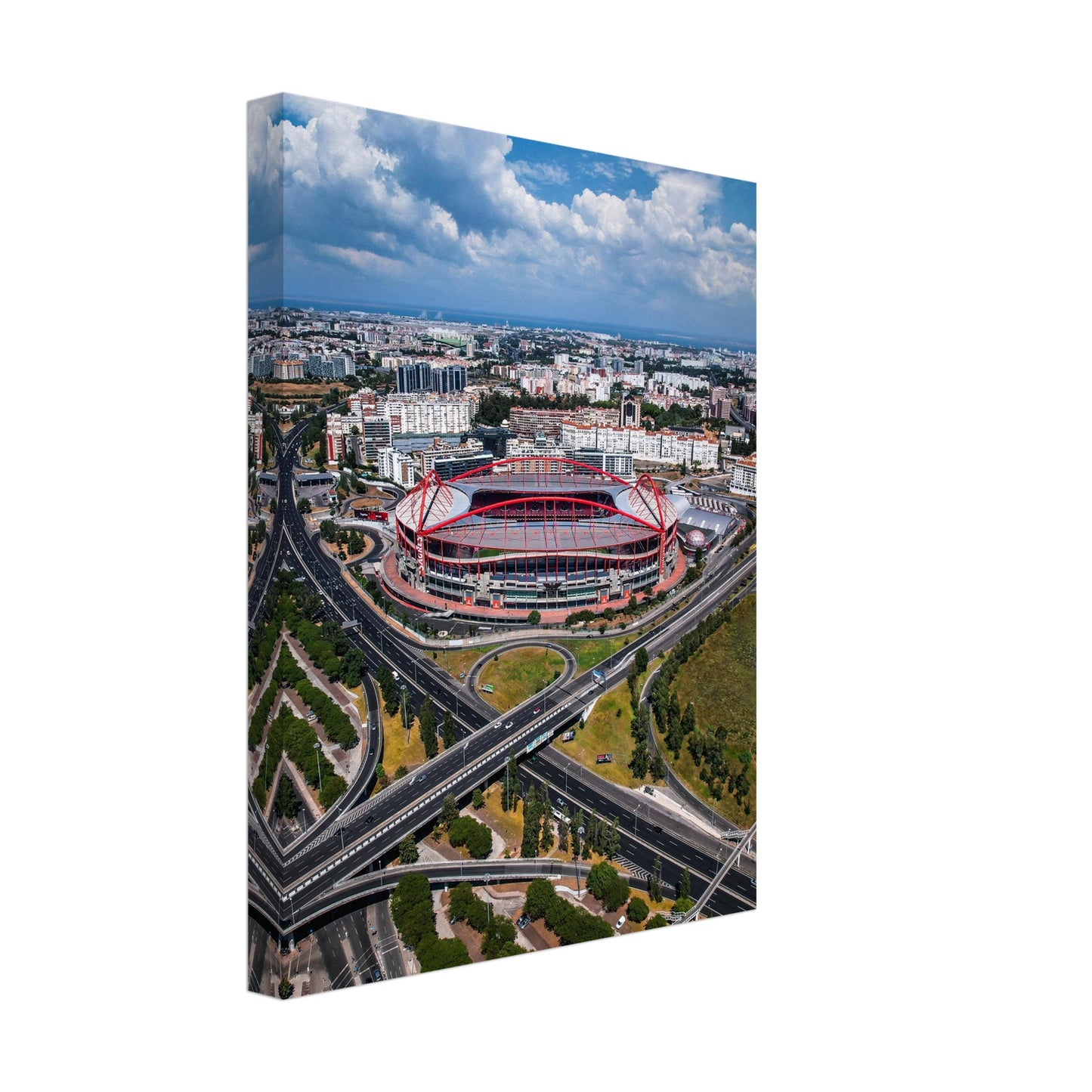Estádio da Luz, S.L. Benfica Stadium Canvas