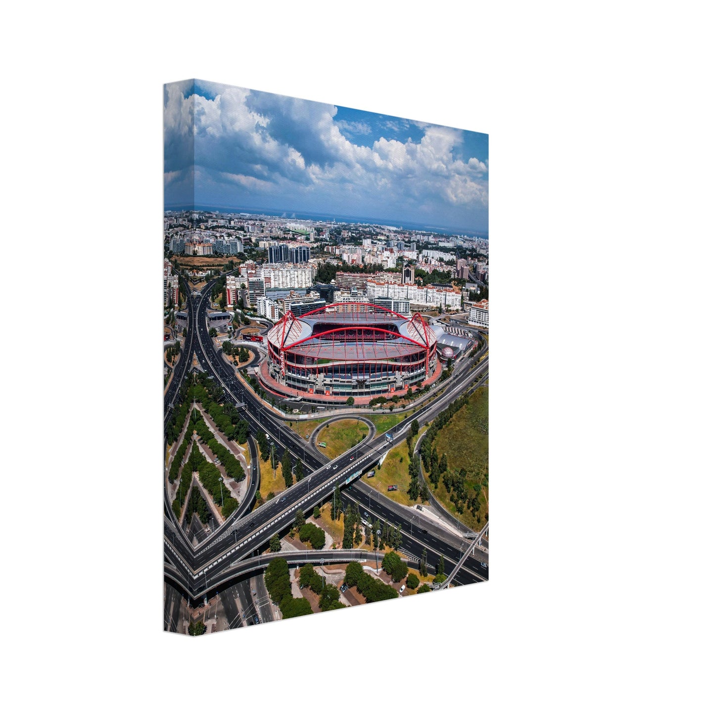 Estádio da Luz, S.L. Benfica Stadium Canvas