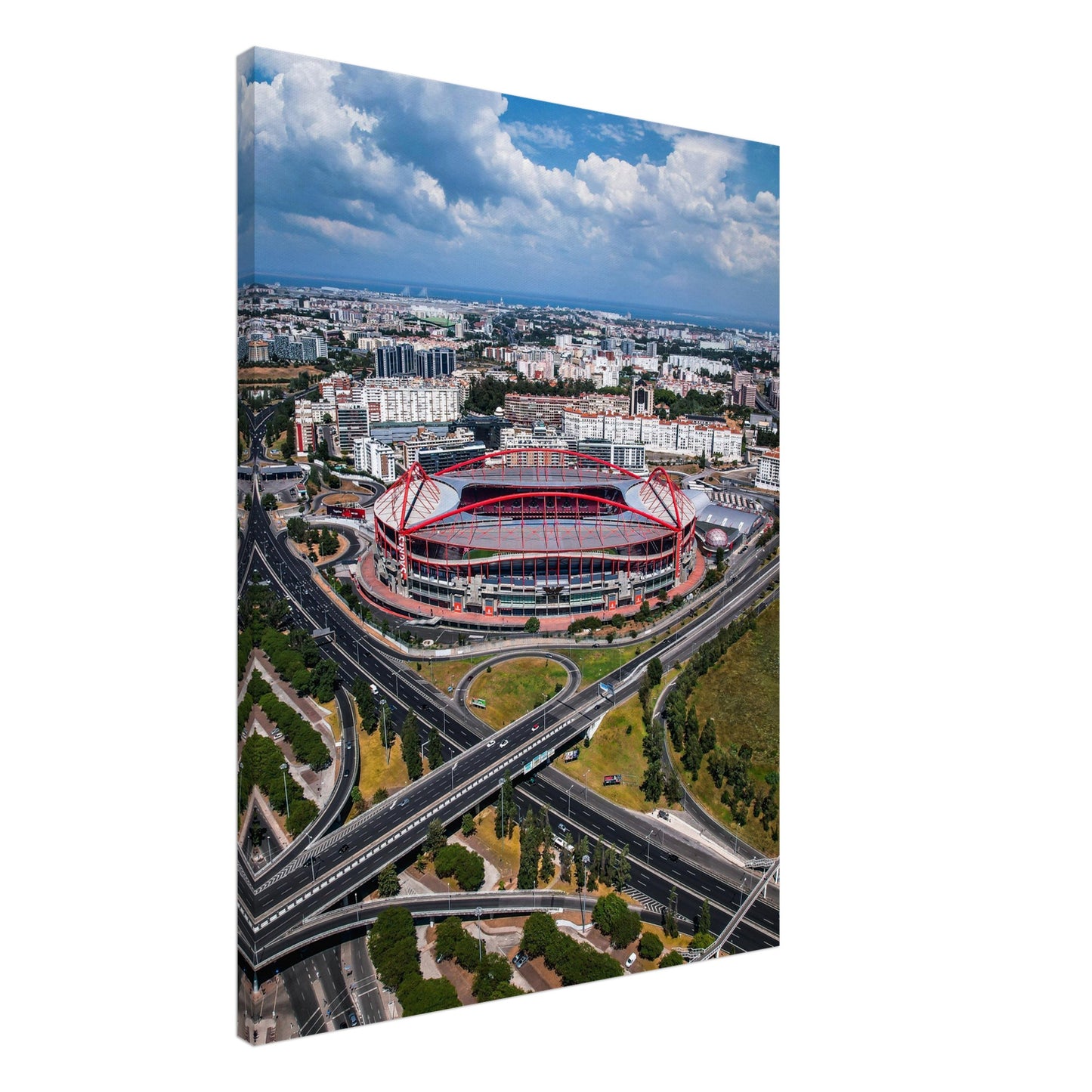 Estádio da Luz, S.L. Benfica Stadium Canvas