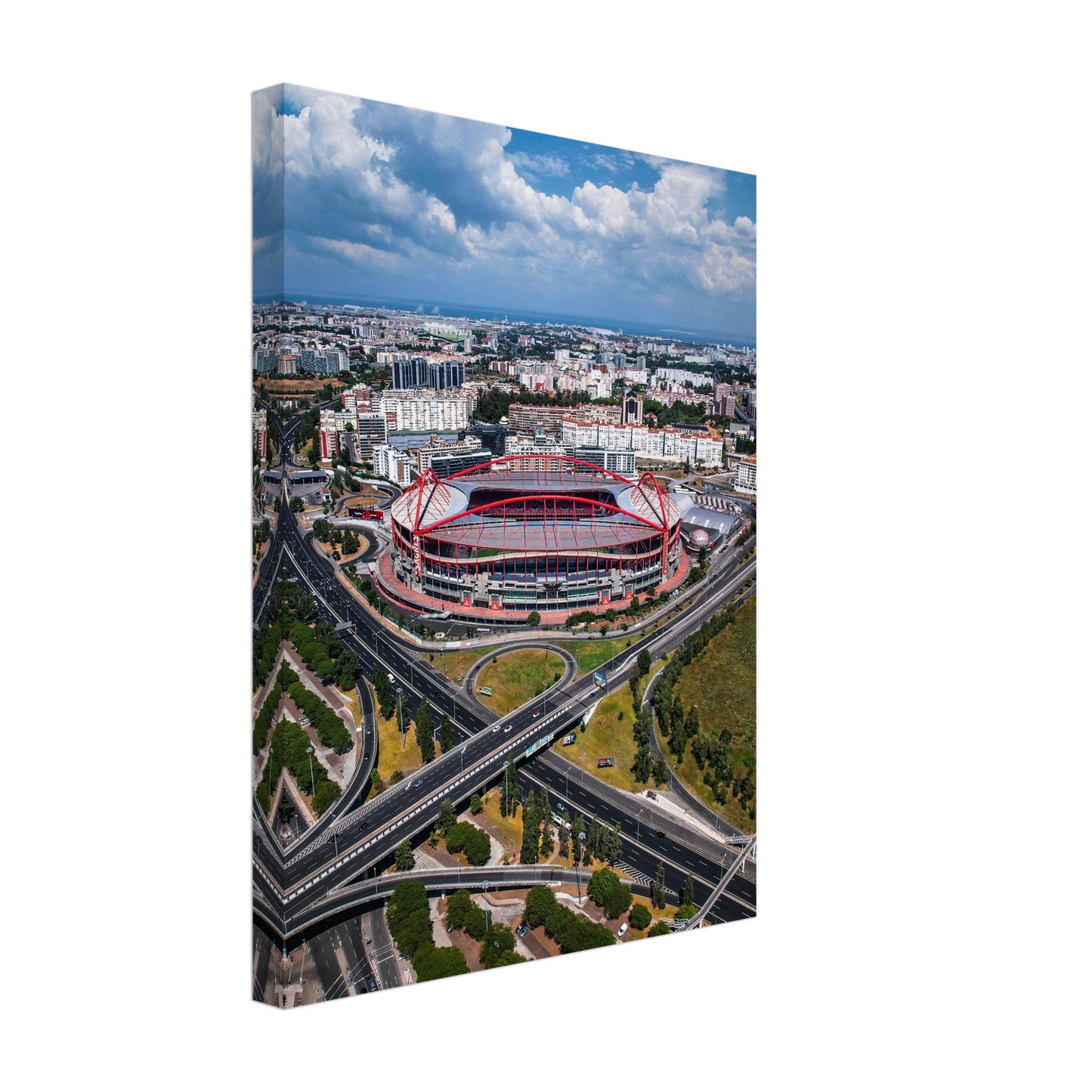Estádio da Luz, S.L. Benfica Stadium Canvas