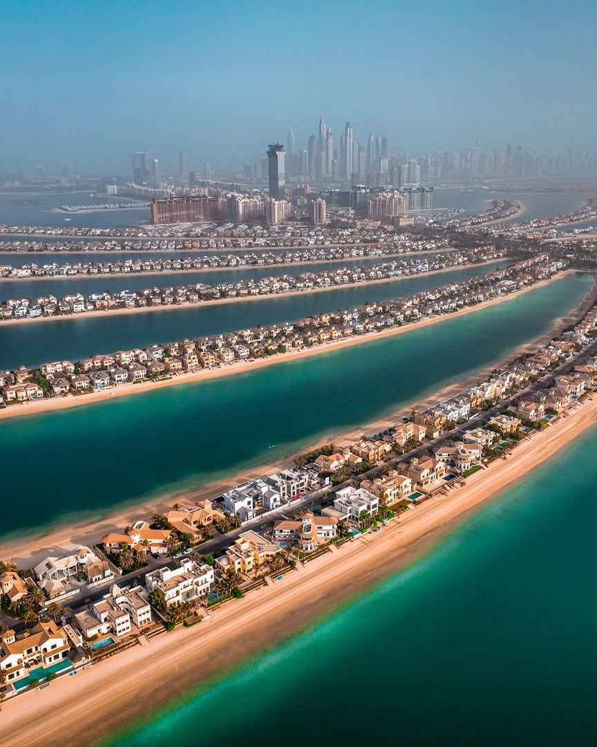 Dubai Palm Poster
