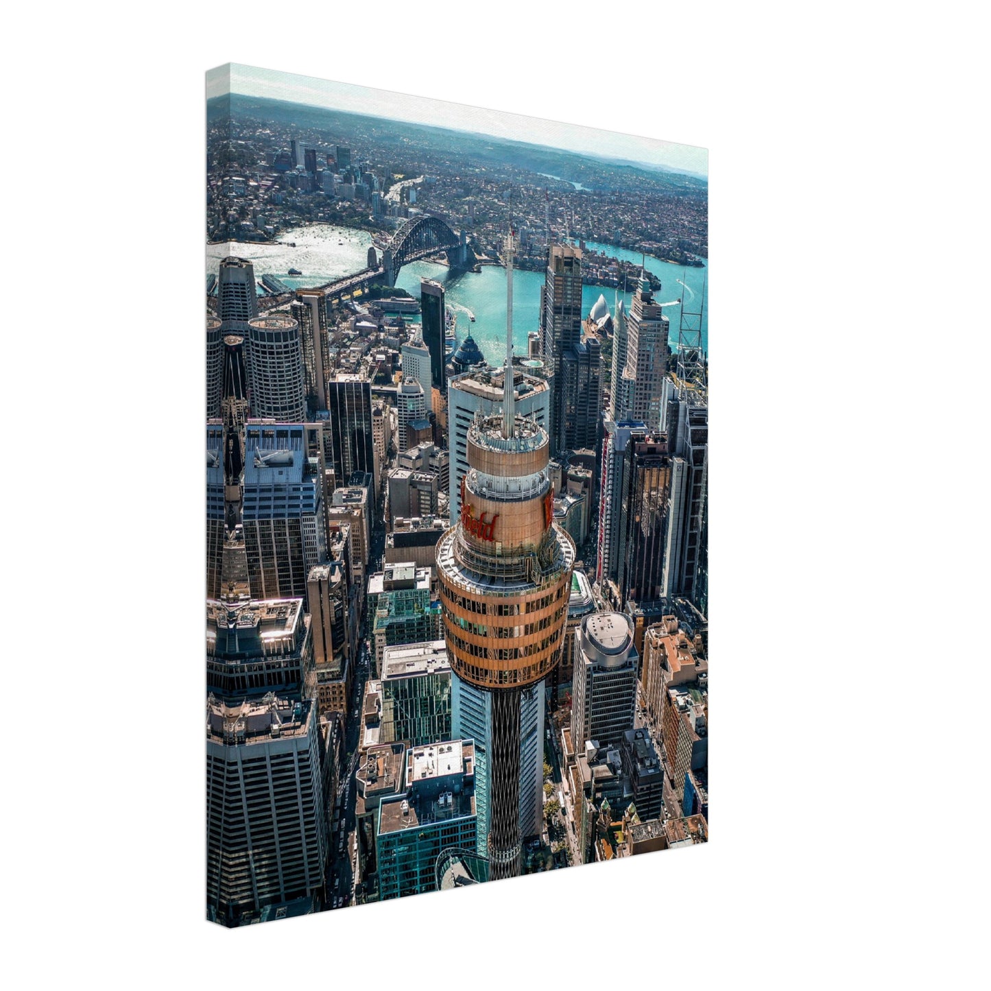 Sydney Tower Canvas