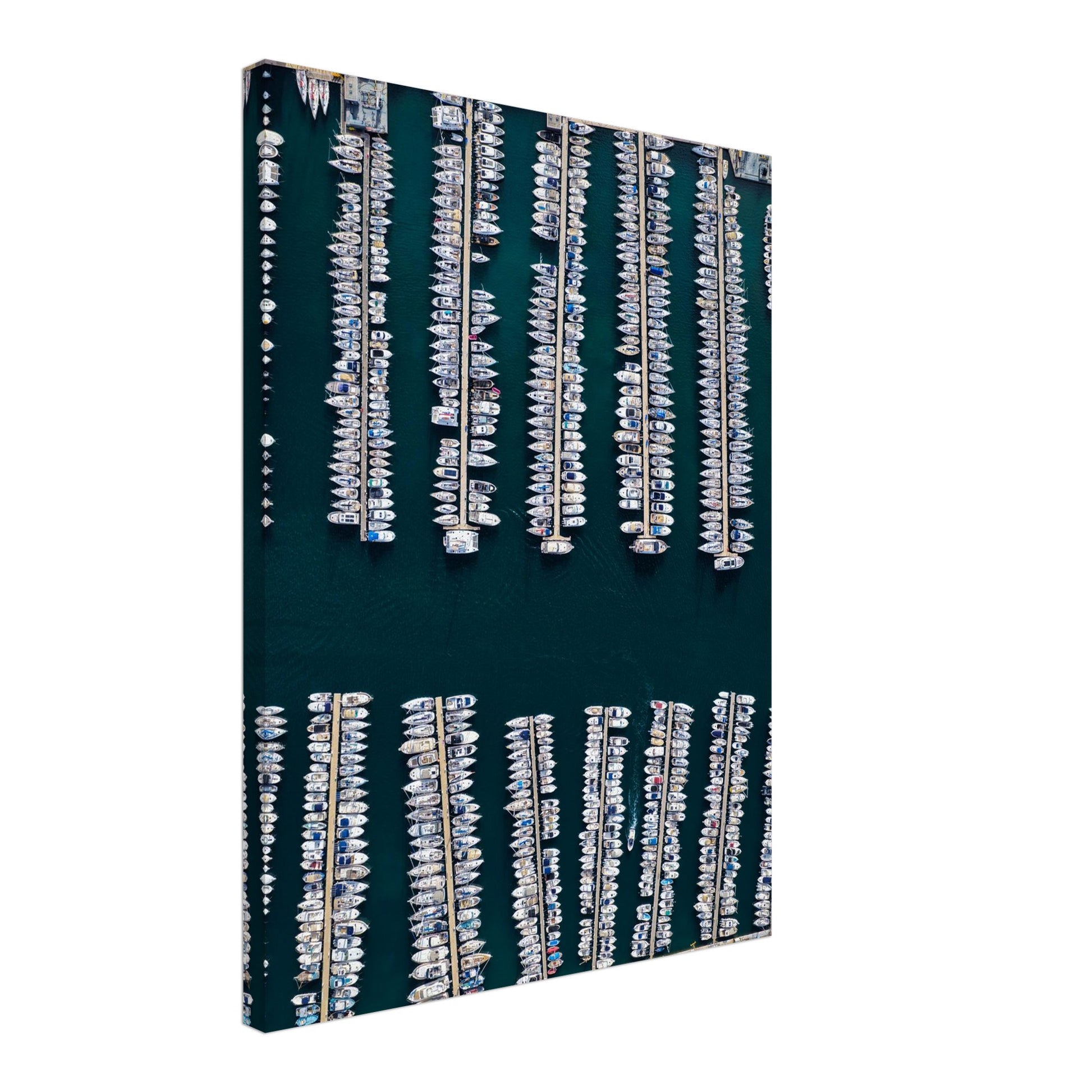 39044d72-37cb-4ade-b9c9-4ef4376b1089