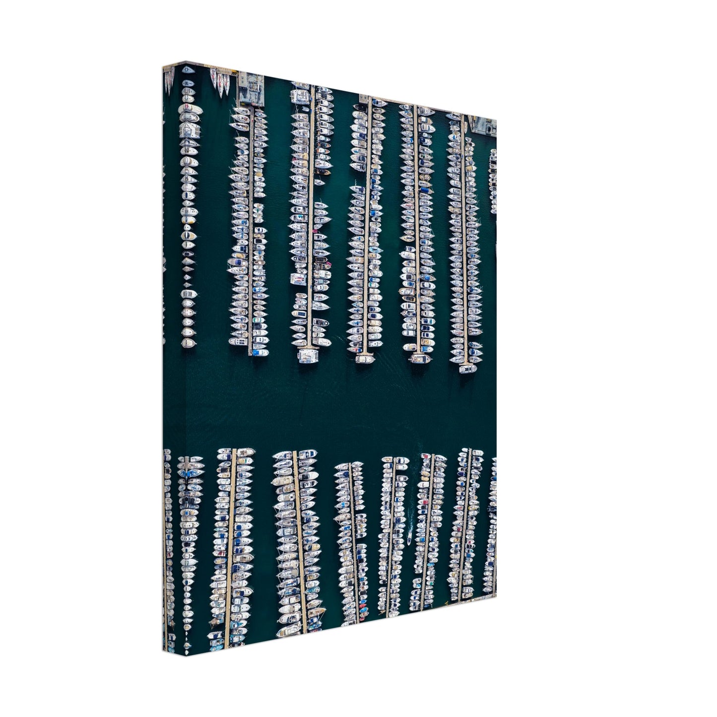 55e7b90d-b102-43fe-a4c3-40028fcb1b83