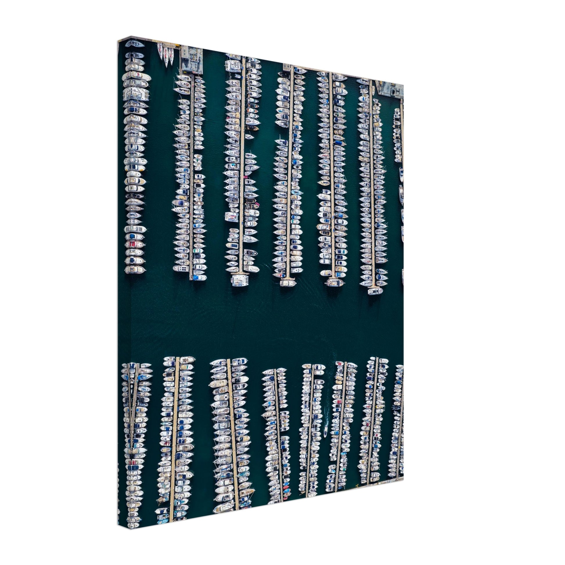 720fcaa3-18d7-47bd-bc23-887f2bd9f81b