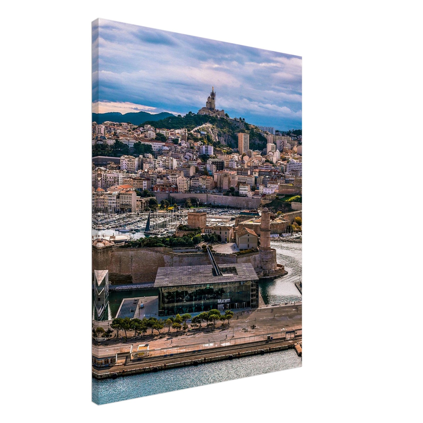 8e14dc32-fc20-481c-937c-88d0cc0203bf