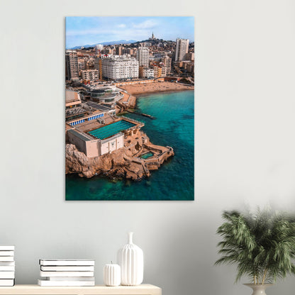 8f0fc277-919f-47f5-94e9-fe6b438b53cc