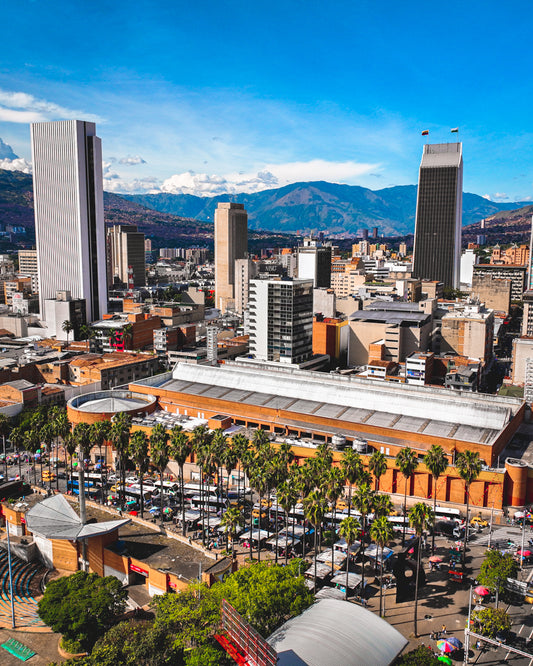 Medellin Palm Trees III Poster