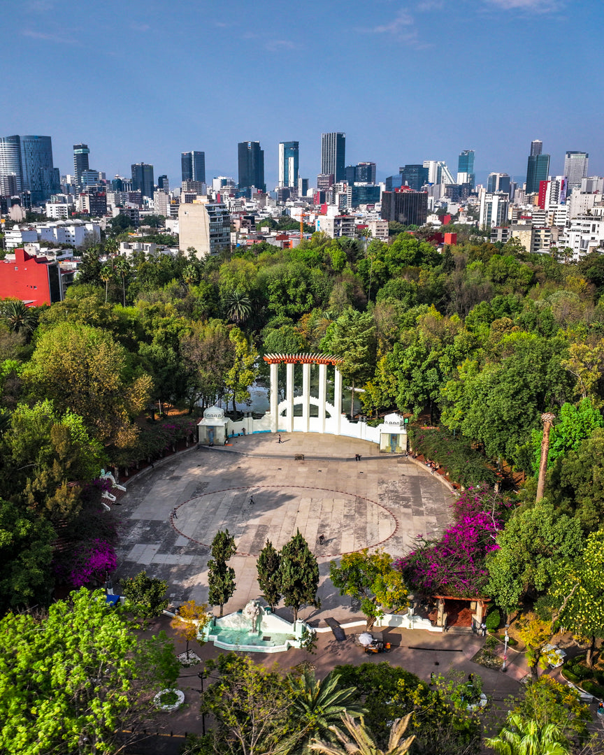 Parque Mexico Poster