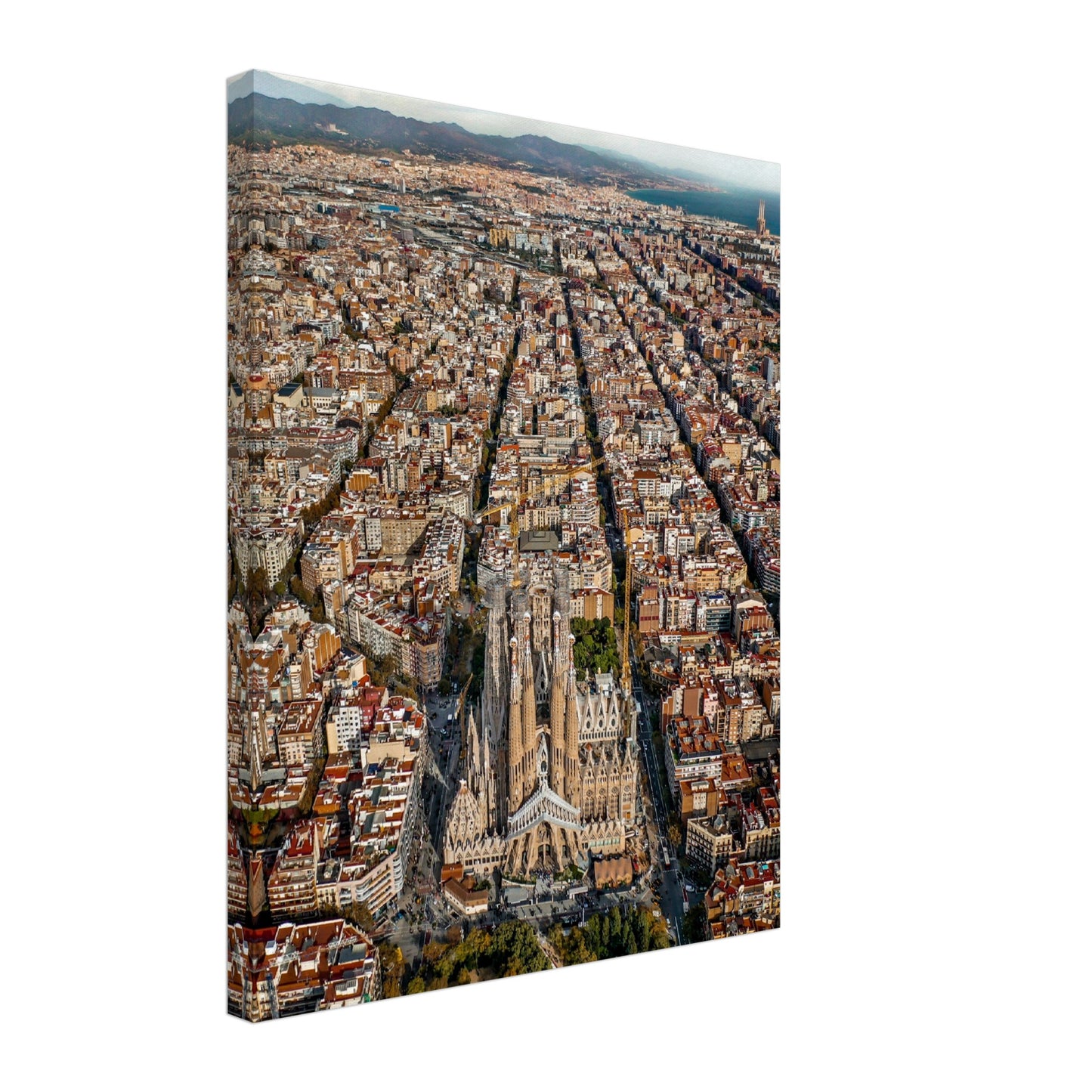 Barcelona Canvas