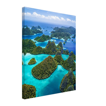 Raja Ampat, Indonesia III Canvas
