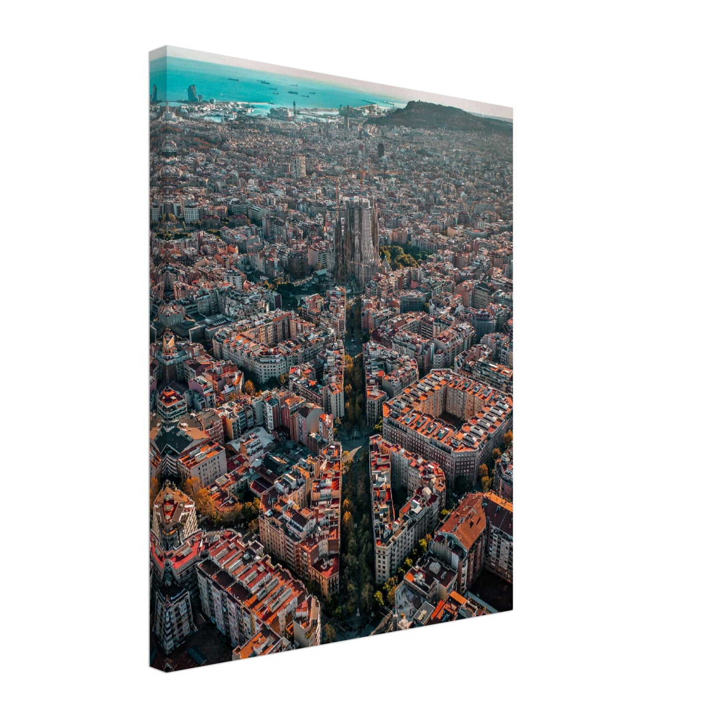 Barcelona City Canvas