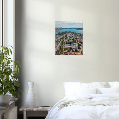 Mezquita de estambul Póster